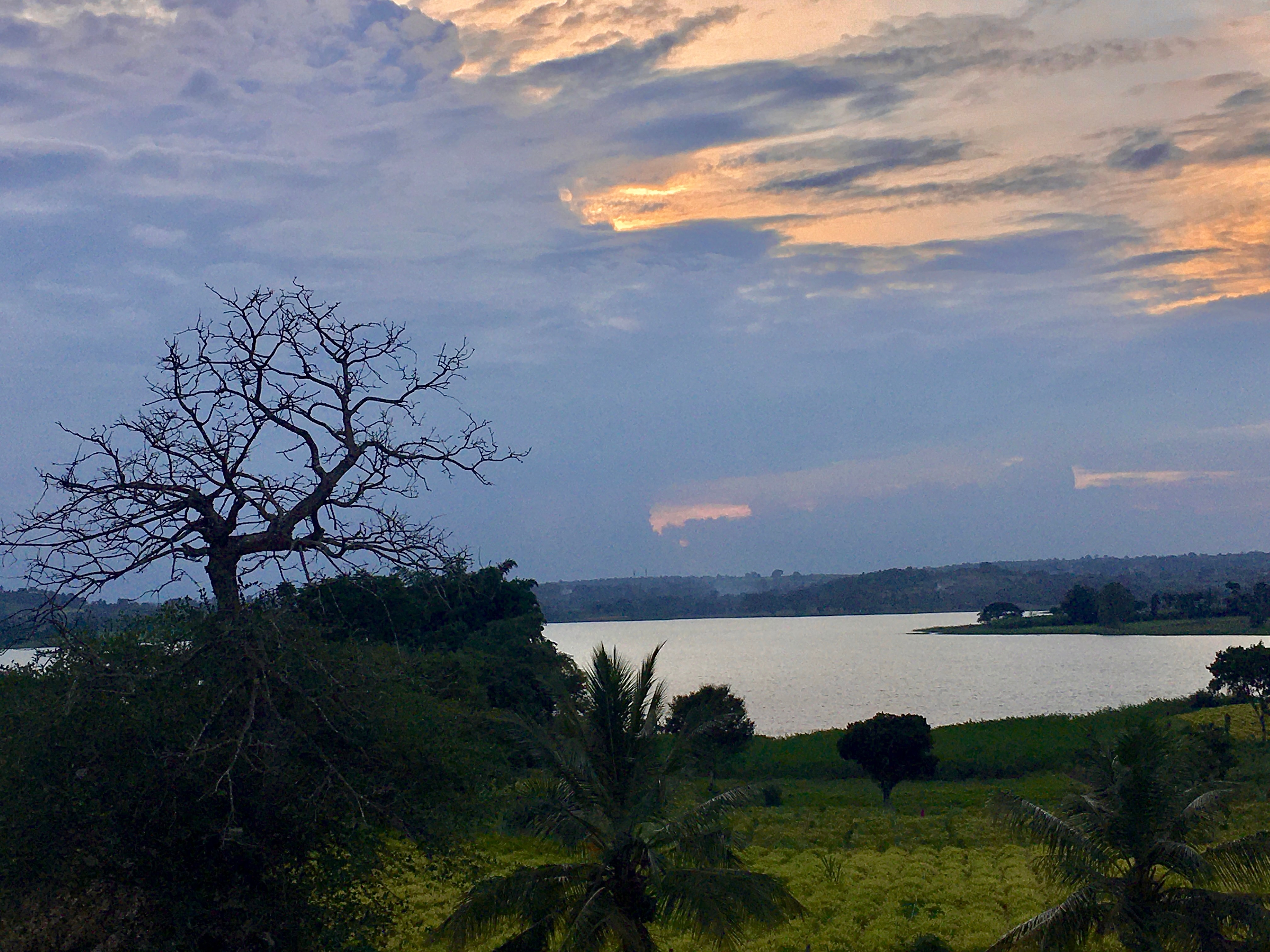 Rathna Prabha Kabini - Tap to explore photos