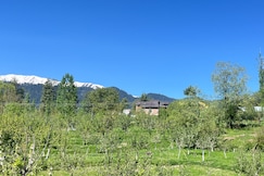 The Himalayan Nest, Gulmarg