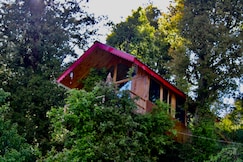Pine wood 2nd Tree House, Jibhi
