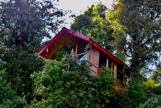 Pine wood 2nd Tree House