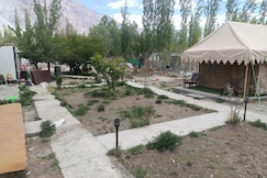 Town front camping, Nubra Valley