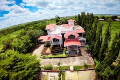 Trivenistays ikigae, Atpadi