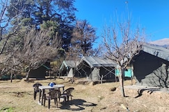 Paradise Camping Apple Orchard Manikaran, Kasol