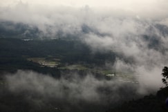 CYBELE HILL RESORT, Wayanad