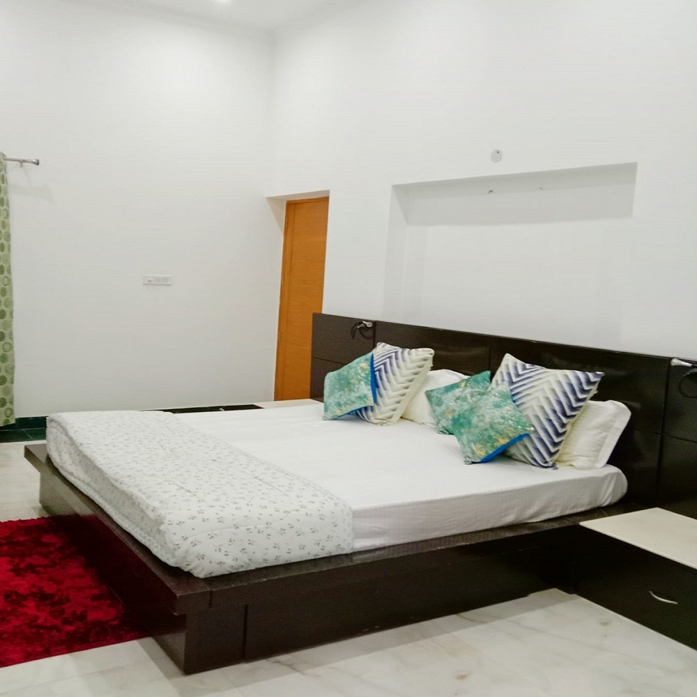 The Mango Tree - Shay Hospitality - Tap to explore photos