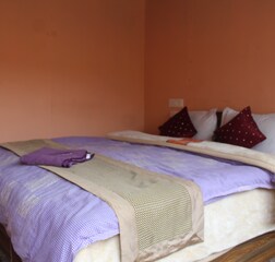 Deluxe Cottage near Pangong Lake