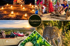 Thour Nature Resorts Jawai, Falna