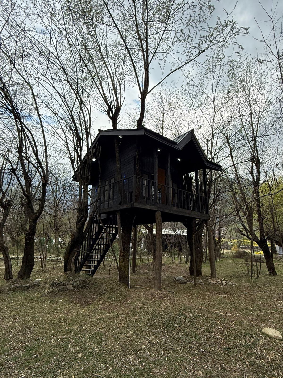 Photo 4