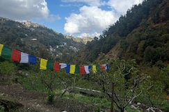 Peach Farm Stays, Pangot