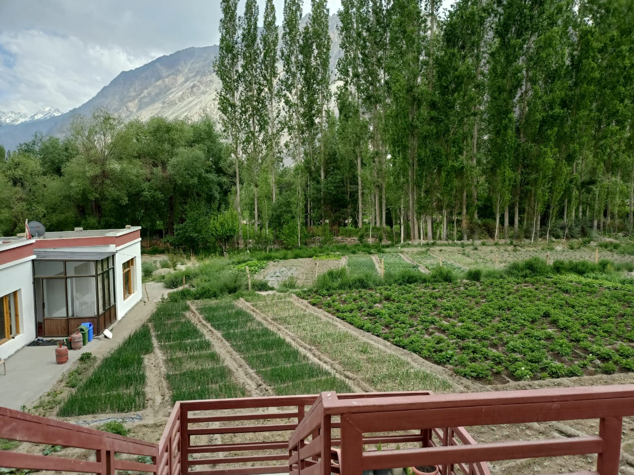 Photo 6