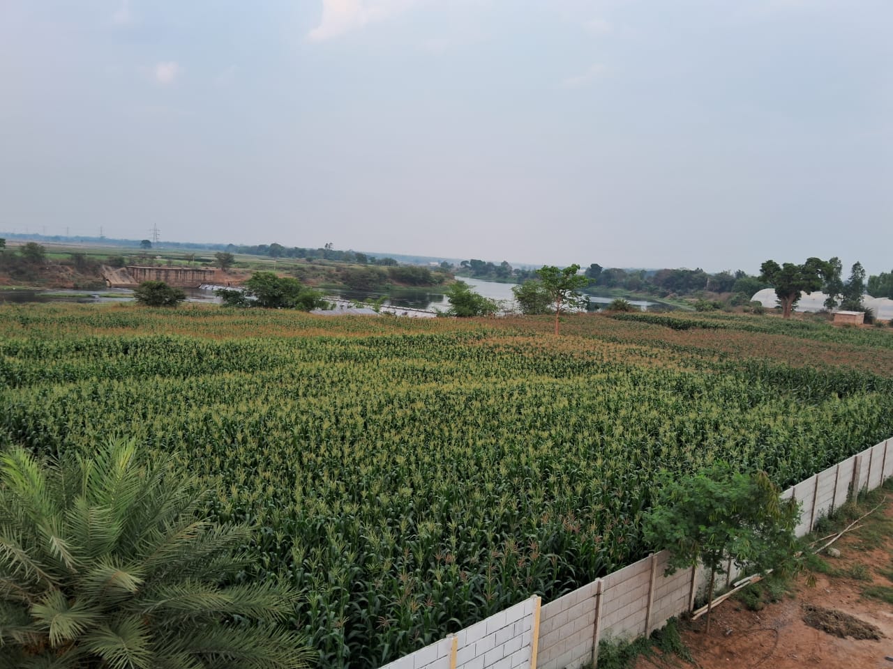 SAUMYA RESIDENCY - Tap to explore photos