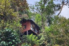 Tree6 Retreat, Wayanad