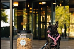 Crowne Plaza ATLANTA PERIMETER AT RAVINIA, DeKalb