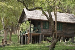 K Gudi Wilderness Camp by Jungle Lodges, Ooty