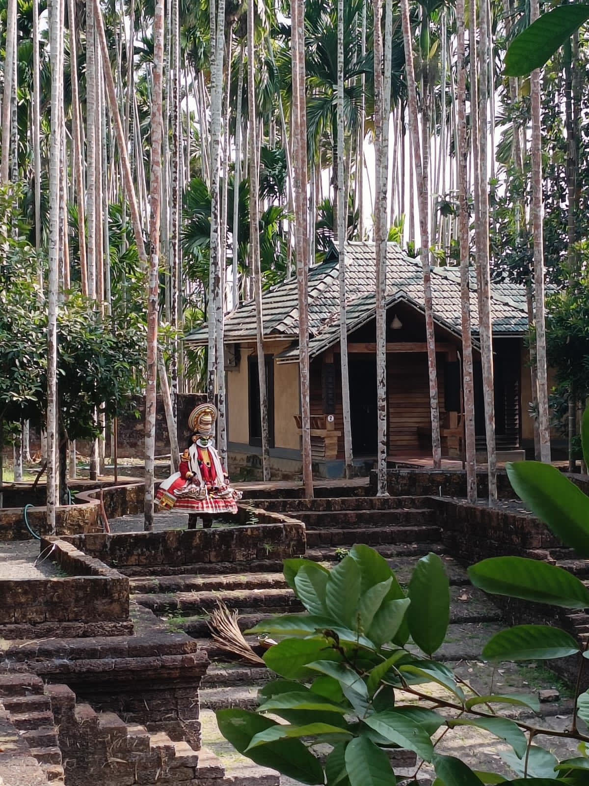 Yamunatheeram Resort - Tap to explore photos