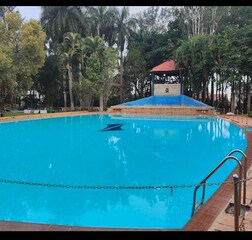 Swimming Pool 1