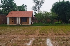 Mahua home stay, Sidhi