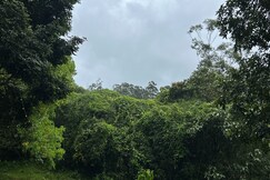 Brahmagiri Service Villa Forestside Escape, Wayanad