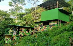 Forest Cottages