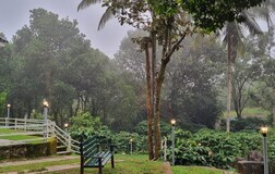 Coffee Castle Deluxe Room