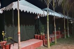 Bull Adventure 0041, Rishikesh