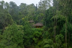The Woods Resorts Wayanad, Wayanad