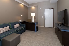Hilton Garden Inn Austin Airport, Burnet