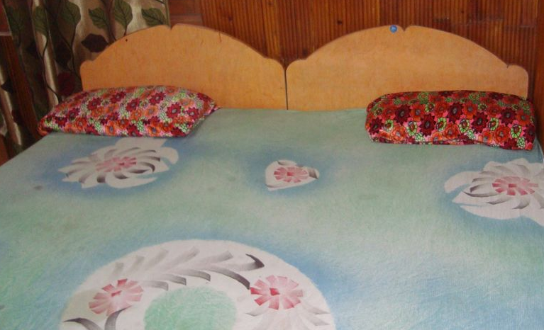 Kashmir Houseboat Srinagar INR 1152 OFF   3  6  0  0   Deal Hotel
