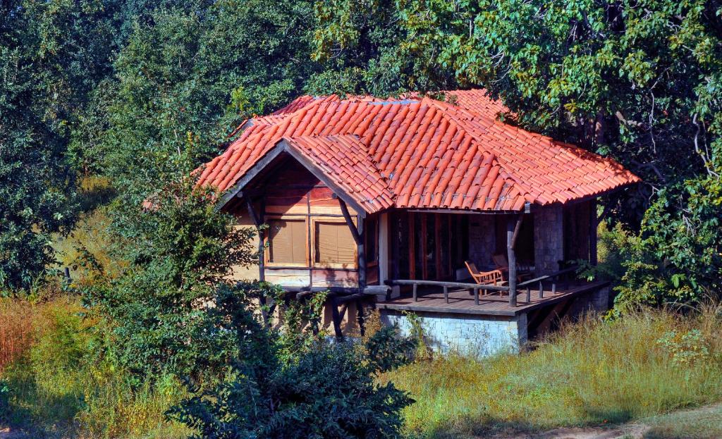 Kanha Earth Lodge view 1