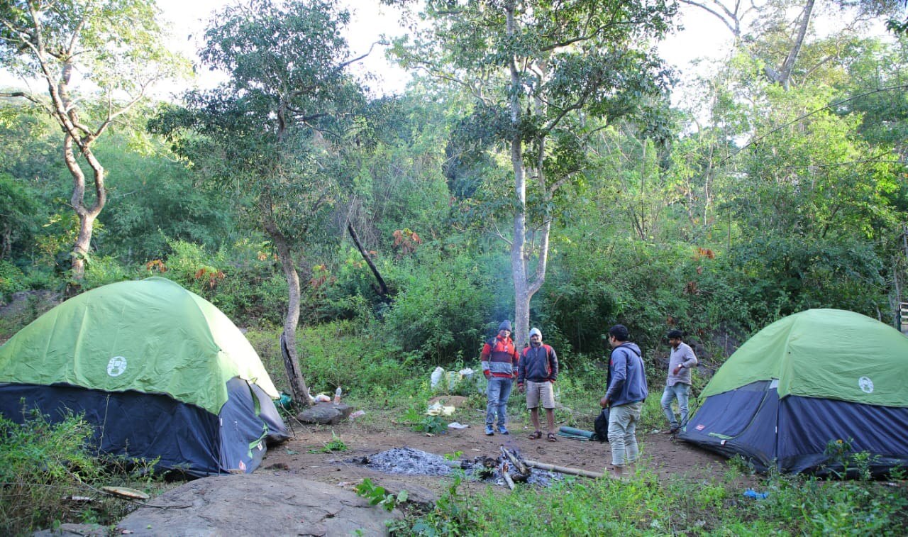 Jungle Camping - Tap to explore photos