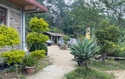 Outdoors