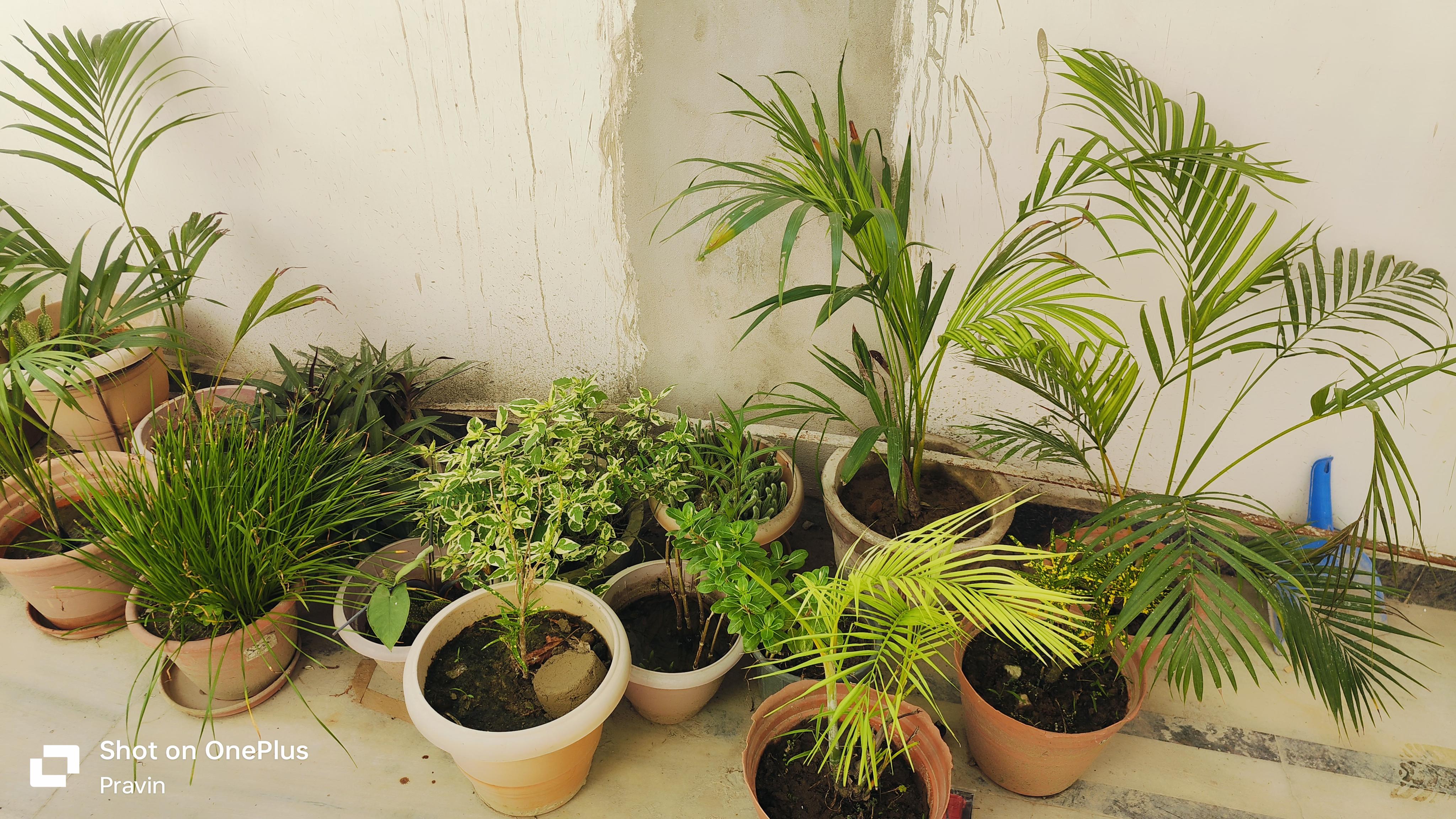 Sarthak home stay gonda - Tap to explore photos
