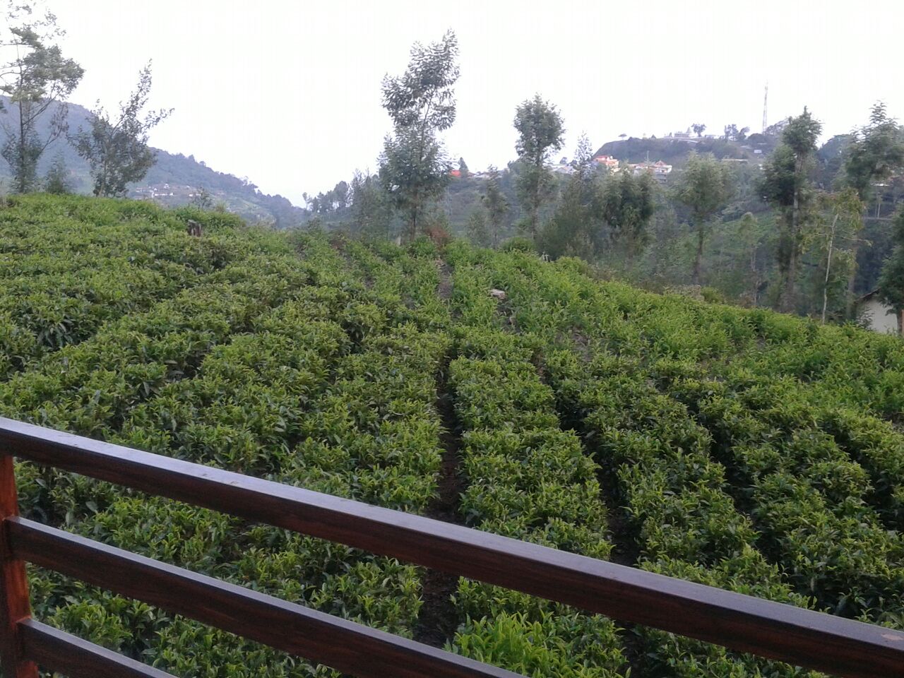 Minis cottage Best Rates on Ooty Hotel Deals, Reviews & Photos