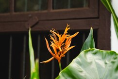 Casa Camotim Your Cozy Aesthetic Getaway, Goa