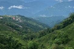 Madhuchuli Homestay, Darjeeling