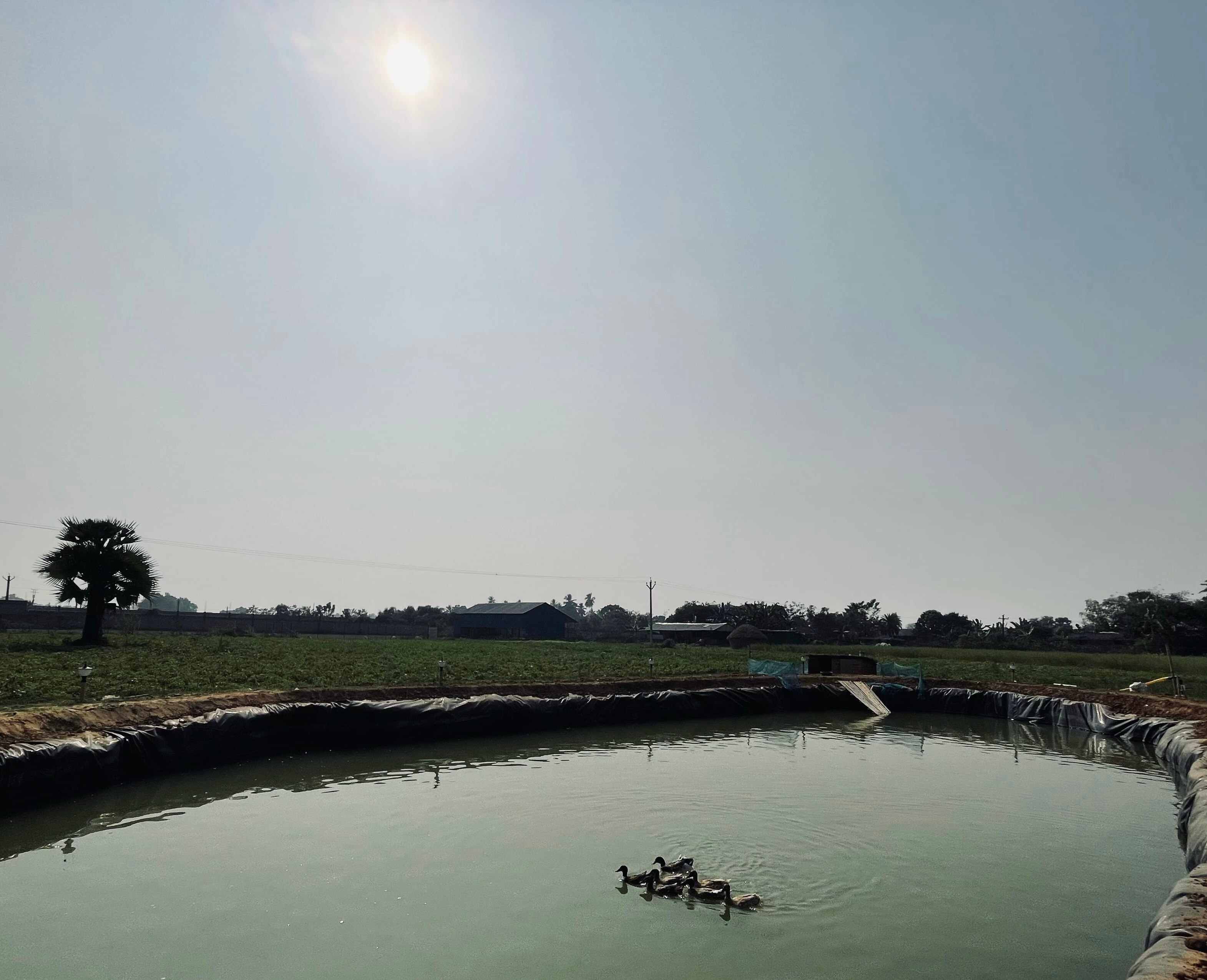 Dhanbari Retreat - Tap to explore photos