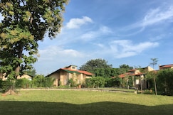 98Stripes, tadoba, Kolara, Chimur