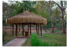 Mud House Oasis, Barwadih