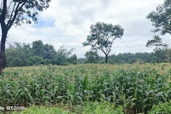 VISMAYA HOME STAY, Alur, Karnataka