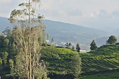 SATHYA HOLIDAYS, Ooty